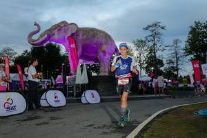 BIB: 
                            <button type="button" onclick="openModal(26529504)" class="btn btn-primary btn-sm float-right btn-popup" data-toggle="modal" data-target=".modal-high-quality">
                        <i class="fas fa-shopping-cart"></i> Add to Cart
                    </button>
                                            <button type="button" onclick="isThisMe(26529504, true)" class="btn btn-success btn-sm float-right btn-popup btn-isme hidden" data-toggle="tooltip" data-placement="bottom" title="นี่คือรูปของคุณใช่ไหม คลิกที่นี่เพื่อเอาเข้าอัลบั้ม">
                        <i class="fas fa-plus"></i> Add to album
                    </button>
                    <button type="button" onclick="isThisMe(26529504, false)" class="btn btn-warning btn-sm float-right btn-popup btn-isnotme hidden">
                        <i class="fas fa-ban"></i> Remove from album
                    </button>